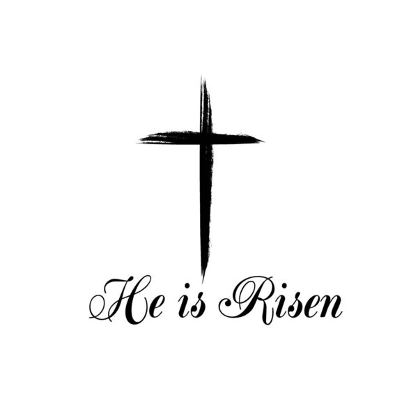 He is Risen text with cross on white background. Calligraphy lettering Vector illustration