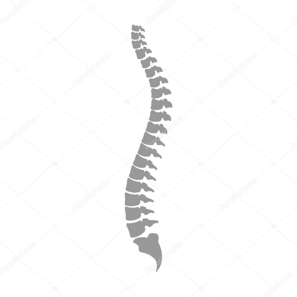Back pain vector icon - Vector