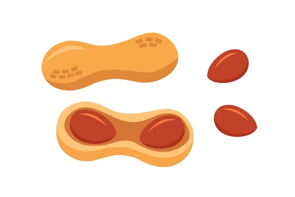 Ilustración vectorial de cacahuetes establecidos. Conjunto vectorial de merienda de maní . — Vector de stock