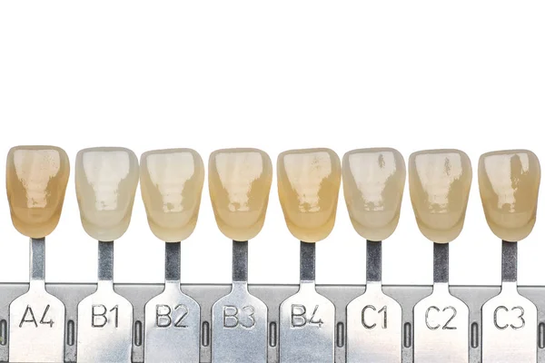 Takma diş ve implant üretim: takma diş renk örnekleri