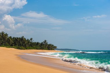 Güzel sahil ve tropikal deniz
