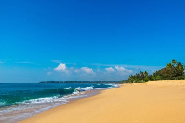 Güzel sahil ve tropikal deniz