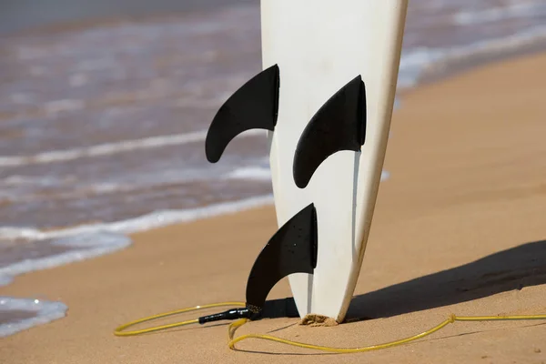 Surfbrädor lägger på den tropiska stranden — Stockfoto