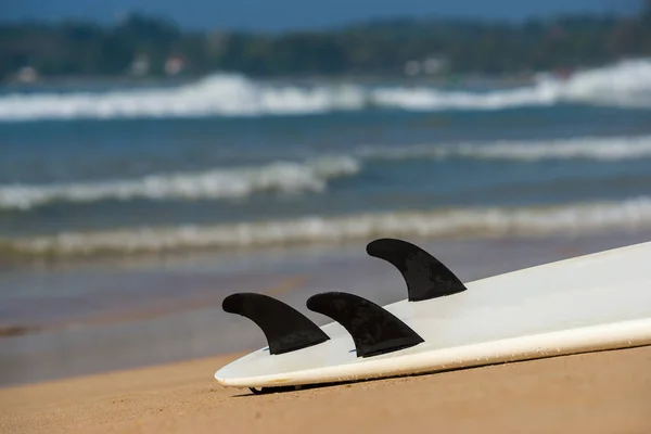Surfbretter liegen am tropischen Strand — Stockfoto