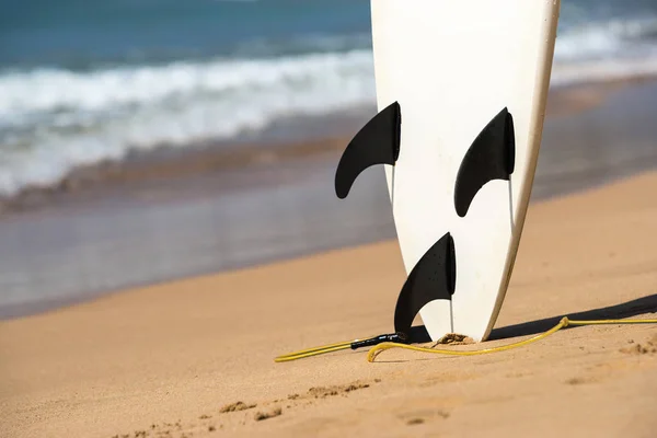 Surfbretter liegen am tropischen Strand — Stockfoto