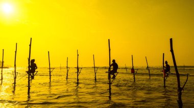 Sri Lanka'nın geleneksel balıkçı sanset üzerinde. Balıkçılık silt üzerinde olduğunu 