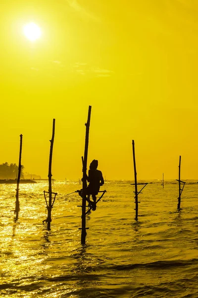 Pêcheur traditionnel du Sri Lanka sur sanset. Pêche sur limon est — Photo