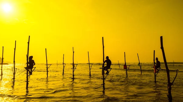 Sri Lanka'nın geleneksel balıkçı sanset üzerinde. Balıkçılık silt üzerinde olduğunu — Stok fotoğraf