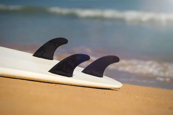 Surfboards lays on the tropical beach — Stock Photo, Image