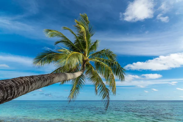 Beautiful beach. View of nice tropical beach with palms around. — Stock Photo, Image