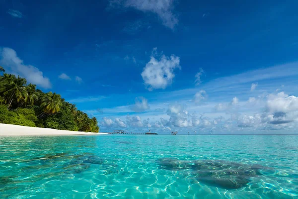 Schöner Strand. Blick auf schönen tropischen Strand mit Palmen rundherum. — Stockfoto