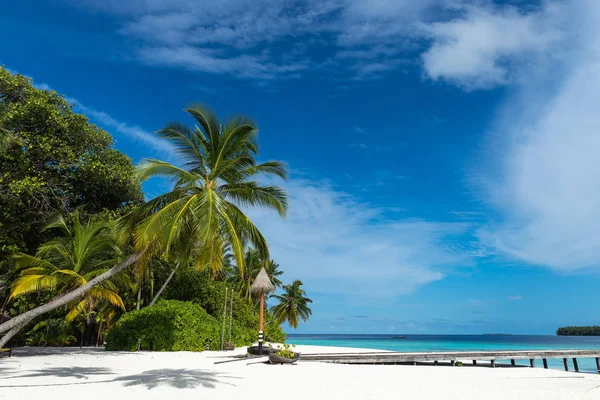 Palmera en una playa tropical — Foto de Stock