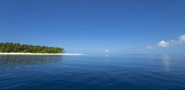 Mükemmel Tropik Ada Cennet Sahili 