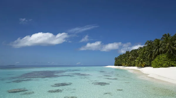 Perfekt tropisk ö Paradise Beach — Stockfoto