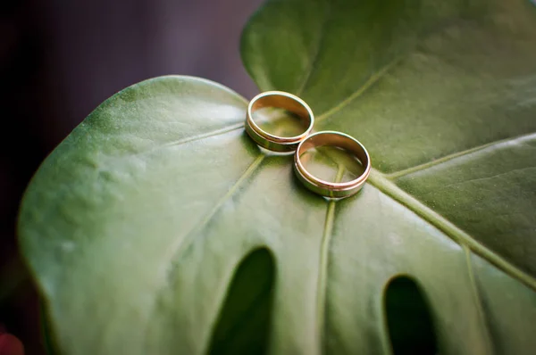 Pair of gold wedding rings on the green leaf — 스톡 사진