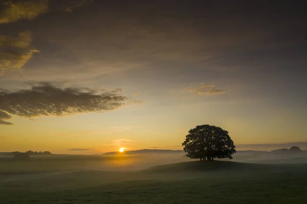 Sunrise Farmland Yorkshire Dales Village Eshton Small Village Civil Parish — Stock Photo, Image