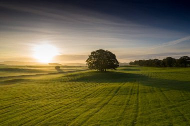 Eshton Yorkshire Dales köyü yakınlarındaki tarım arazisinde güneş doğuyor. Kuzey Yorkshire 'ın Craven ilçesinde küçük bir köy ve sivil bir kilise.
