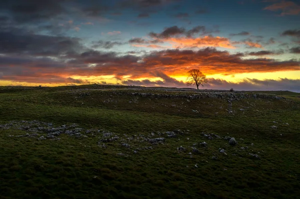 Zonsopgang Boven Een Asboom Boven Het Dorp Malham Groeit Tussen — Stockfoto