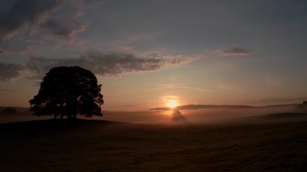 约克郡达莱斯市马勒姆市Esholt村附近 一棵树在日出前被人影映衬 — 图库视频影像