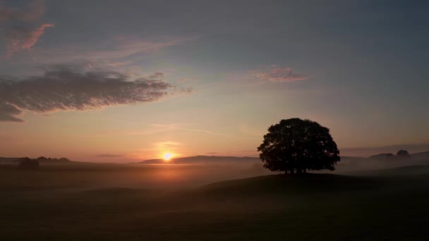Ein Baum Vor Einem Sonnenaufgang Der Nähe Des Dorfes Esholt — Stockvideo
