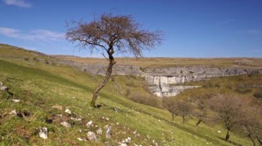Malham Koyu 'nun zaman kayması. Kuzey Yorkshire' daki Malham köyünün 0.6 mil kuzeyinde büyük kıvrımlı bir kireç taşı oluşumu.