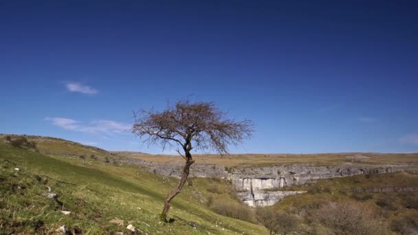 Časová Prodleva Malham Cove Velké Zakřivené Vápencové Formace Míle Severně — Stock video