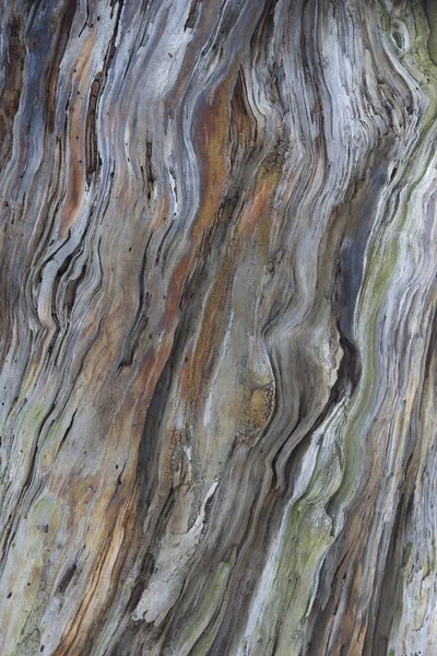 Eski doğal ahşap dokusu,