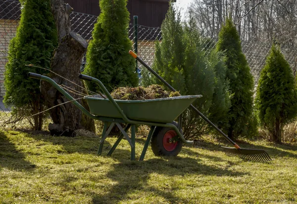 Wheelbarrow filled with weeds after weeding the lawn