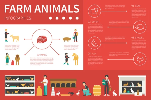 Infografis Farm Animals - Stok Vektor