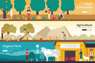 Bitki yetiştirme tarım organik tarım web düz iç açık kavramı