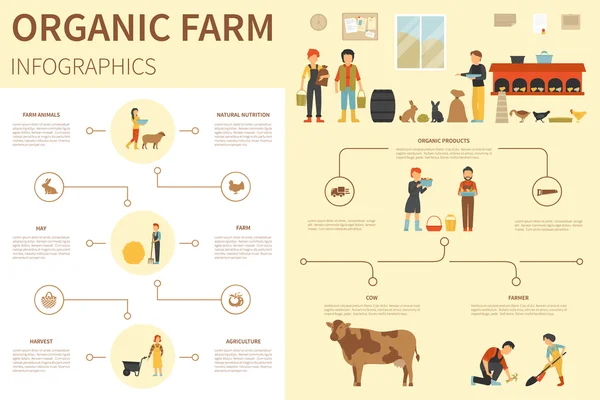 Ilustracja wektorowa płaskie infografikę organiczne gospodarstwa. Prezentacja koncepcji — Wektor stockowy