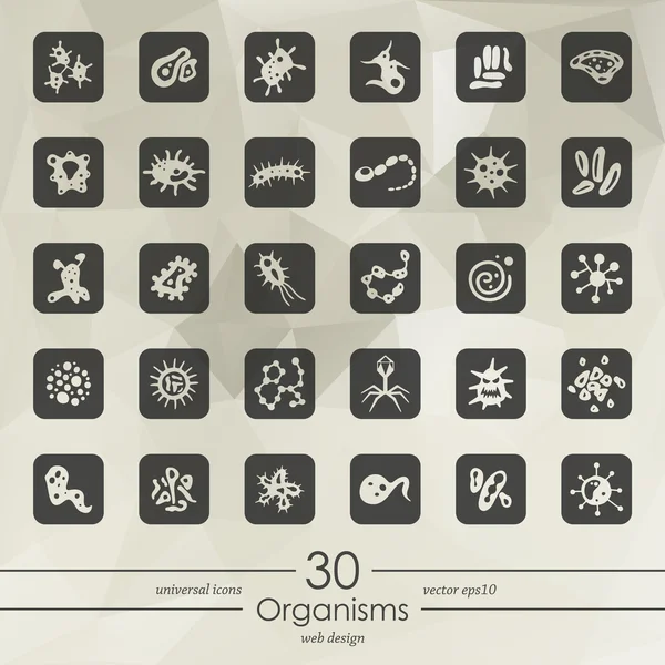 Set of organisms icons — Stock Vector