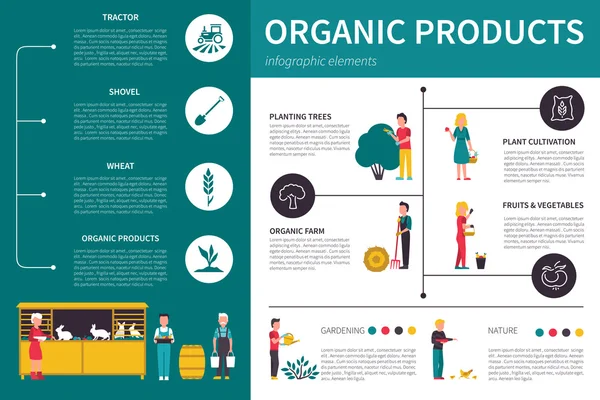 Produtos Orgânicos infográfico ilustração vetorial plana. Conceito de Apresentação — Vetor de Stock