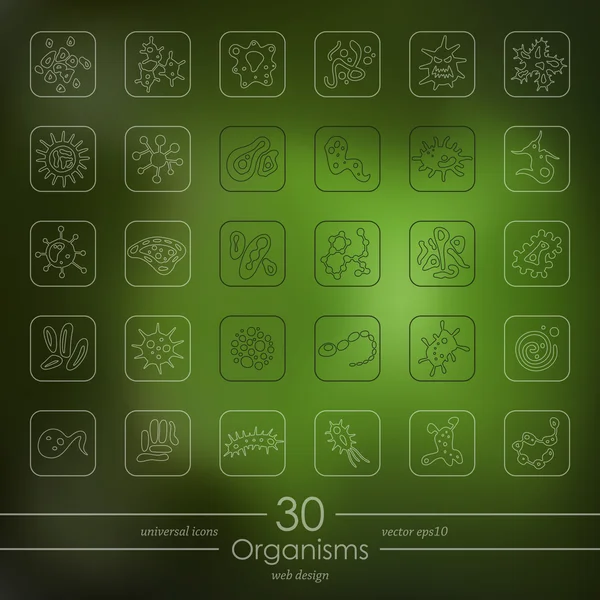Conjunto de iconos de organismos — Vector de stock