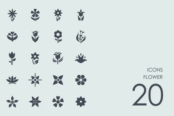 Conjunto de iconos de flores — Vector de stock