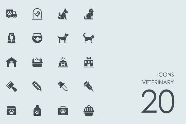 Conjunto de iconos veterinarios — Vector de stock