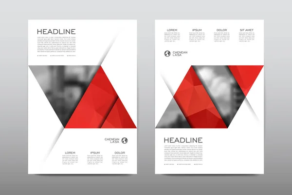 Brochure layout template design — Stock Vector