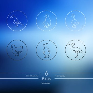 Basit web Icons set