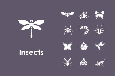 Böcekler basit simgeler kümesi