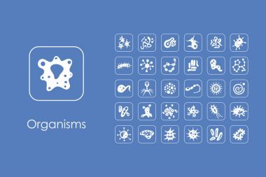 Set of organisms simple icons clipart