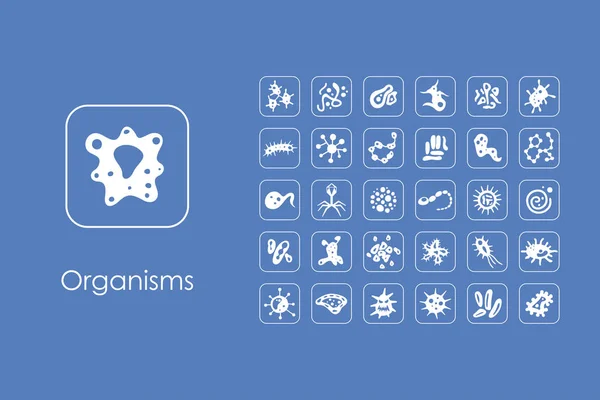 Set van organismen eenvoudig pictogrammen — Stockvector