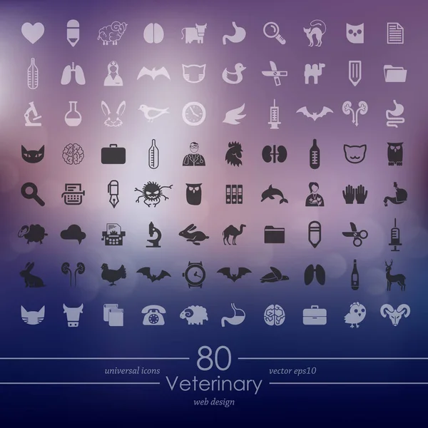 Conjunto de iconos veterinarios — Vector de stock