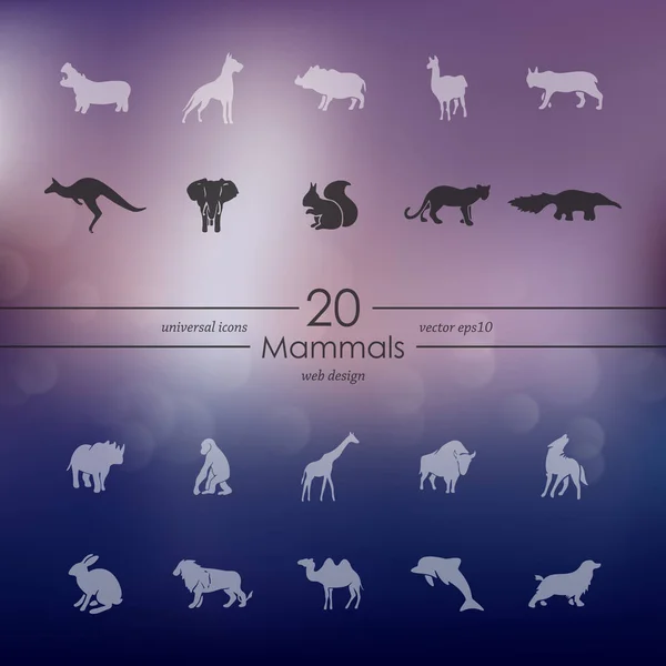 Set of mammals icons — Stock Vector
