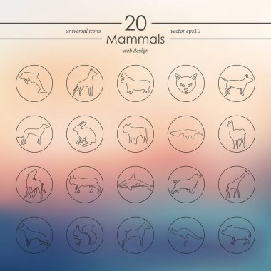 Memeliler simgeler kümesi