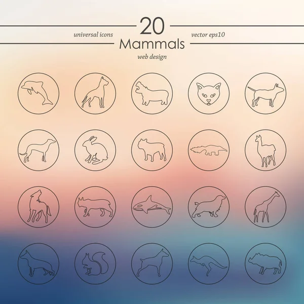 Set van zoogdieren pictogrammen — Stockvector