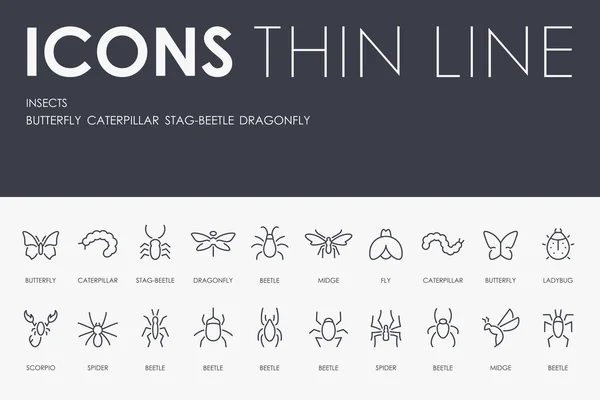 Vector Illustration Design Set Insects Thin Line Vector Icons Pictograms — Stock Vector
