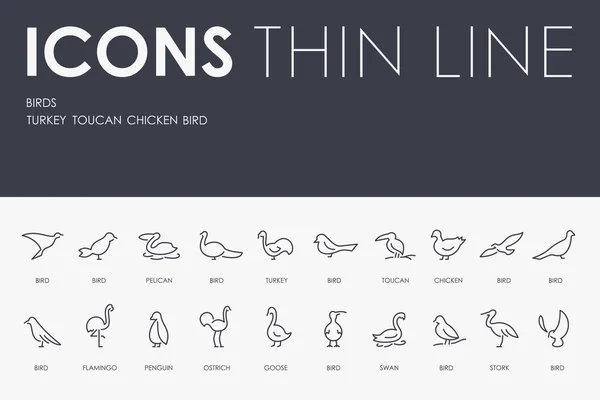 Vektor Illustration Design Set Von Vögeln Dünne Linie Vektor Symbole — Stockvektor