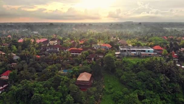 Вид с воздуха с беспилотника на сельскую местность Бали, ландшафт, рисовые поля — стоковое видео