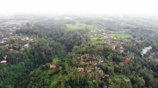 Воздушный беспилотник вид на сельскую местность Бали, рисовые поля — стоковое видео
