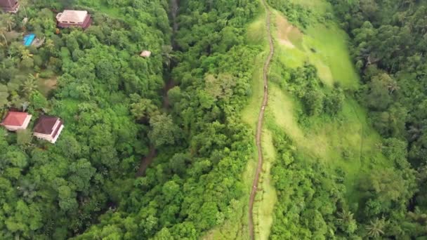 Vista aérea dos artistas Caminhe Campuhan Ridge Walk na aldeia de Ubud, ilha de Bali — Vídeo de Stock